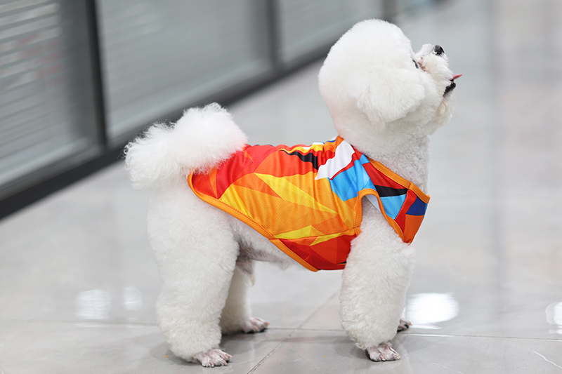 Maillot personnalisé OKEYPETS pour chiens et chats : matières extensibles de qualité supérieure pour un confort optimal. 13