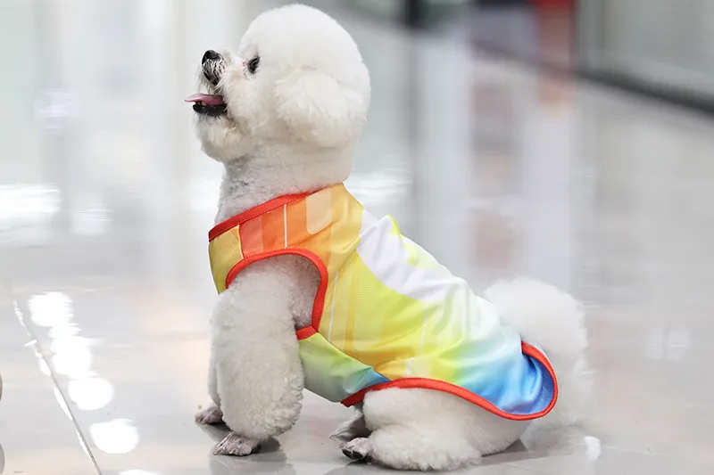 Hunde-Fußballtrikot für sportliche Haustiere 7