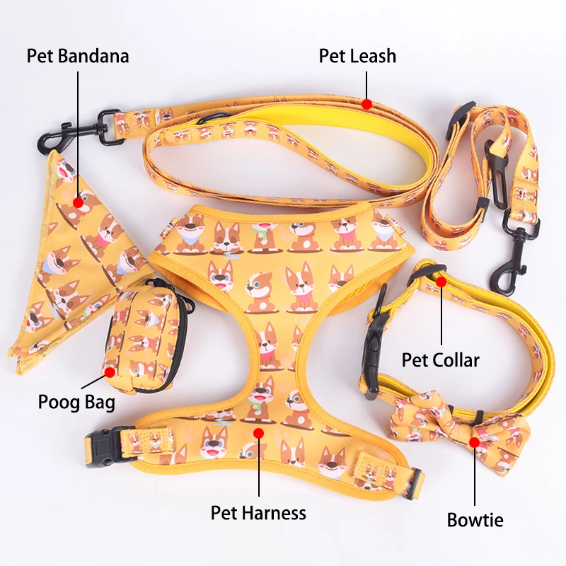 Kolar dan Tali Anjing Bercetak Boleh Laras Logo Tersuai Poliester Peribadi OKEYPETS Dengan Tali Leher 15