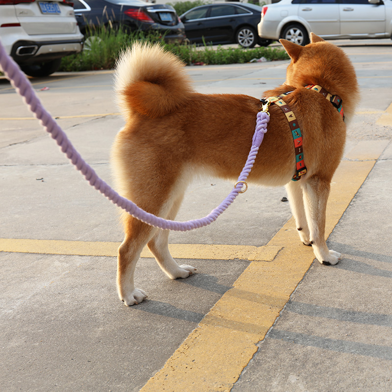 OKEYPETS Laisses pour chiens attrayantes, colorées et faites à la main en coton tressé résistant 11