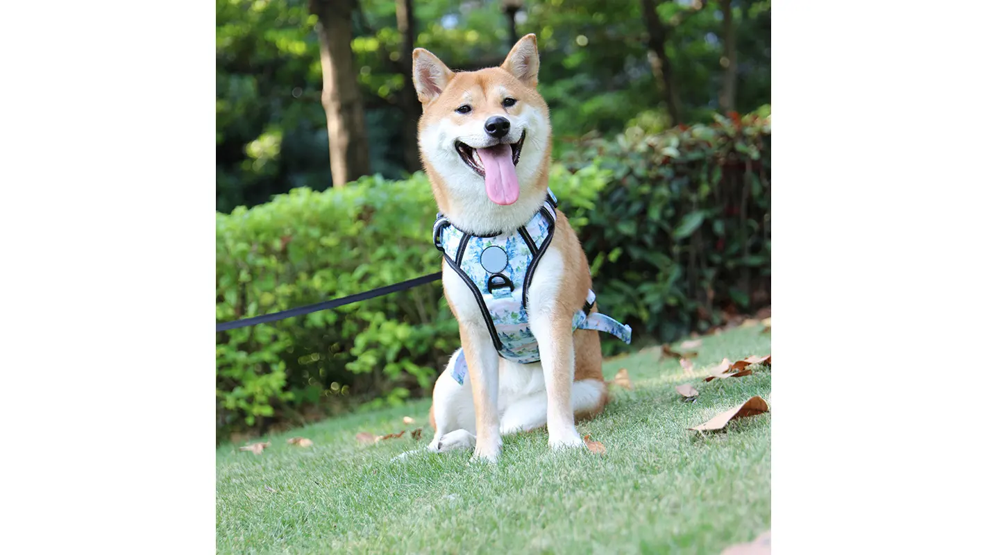 Postroj pro psy Oxford s potiskem stromů a reflexním páskem - nejlepší výcvikový postroj pro štěňata 2