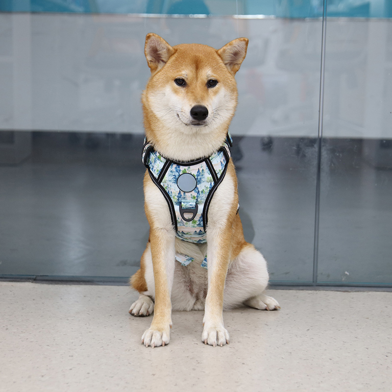 Harnais pour chien robuste et durable, en tissu Oxford résistant et anti-traction. 10