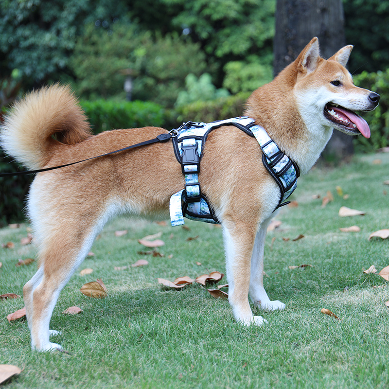 Harnais pour chien robuste et durable, en tissu Oxford résistant et anti-traction. 15