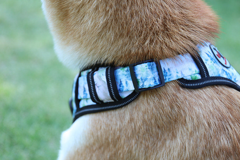 Harnais pour chien robuste et durable, en tissu Oxford résistant et anti-traction. 17