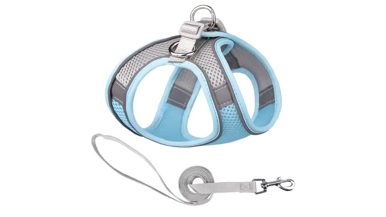 Harnais pour chien en maille bleue respirante, gilet pour chiot. 1