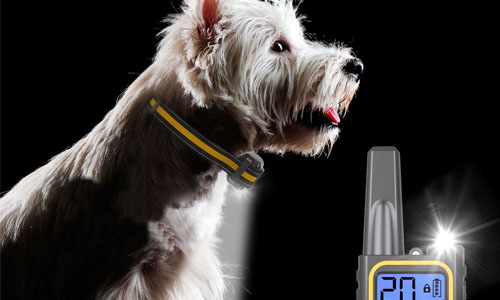 Collier de dressage rechargeable pour chien, 3 modes de dressage, collier anti-aboiement 13