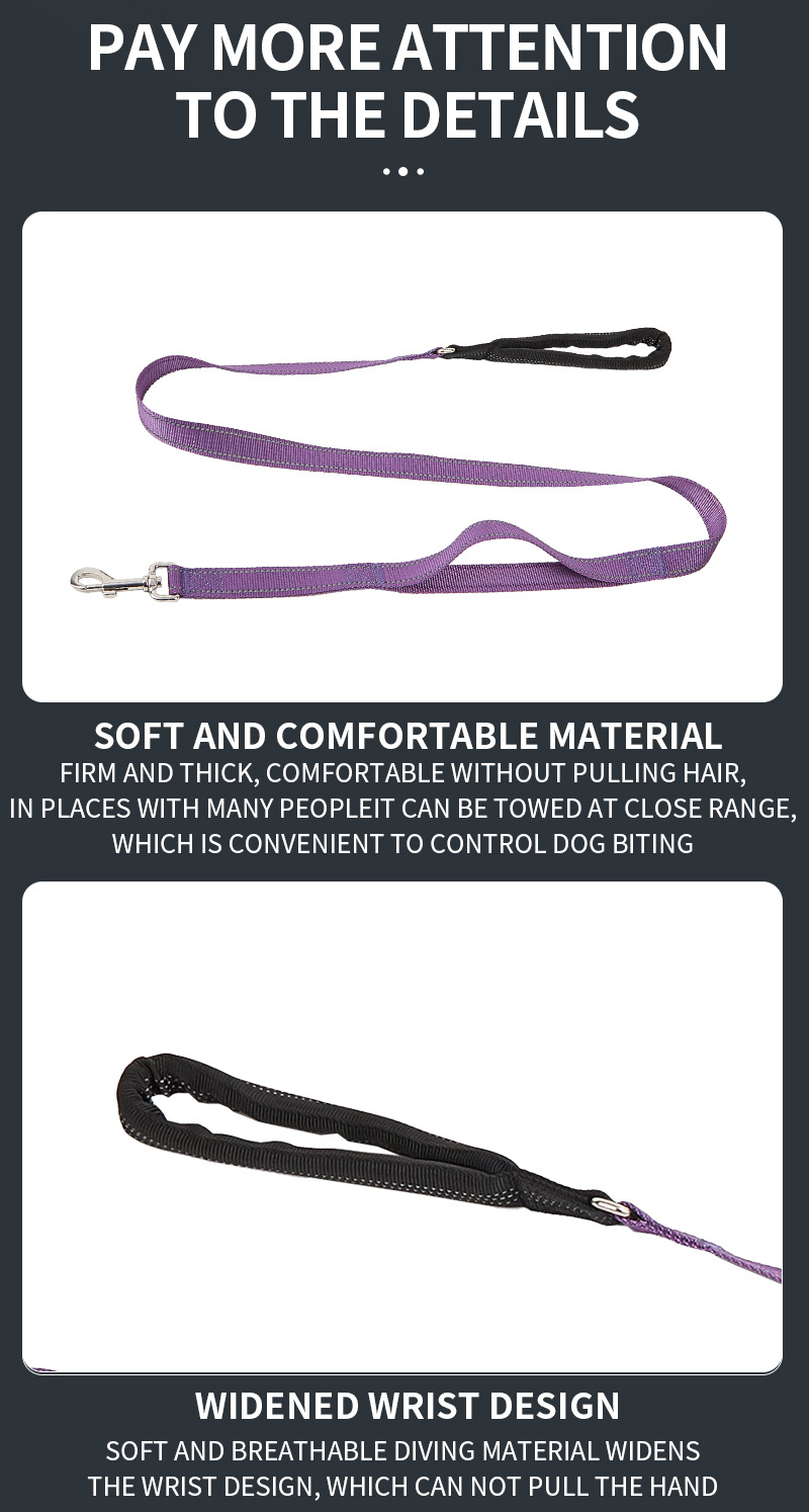 Ensemble collier et laisse GPS de dressage de luxe et ultra-résistant pour chien de taille moyenne à grande. 26