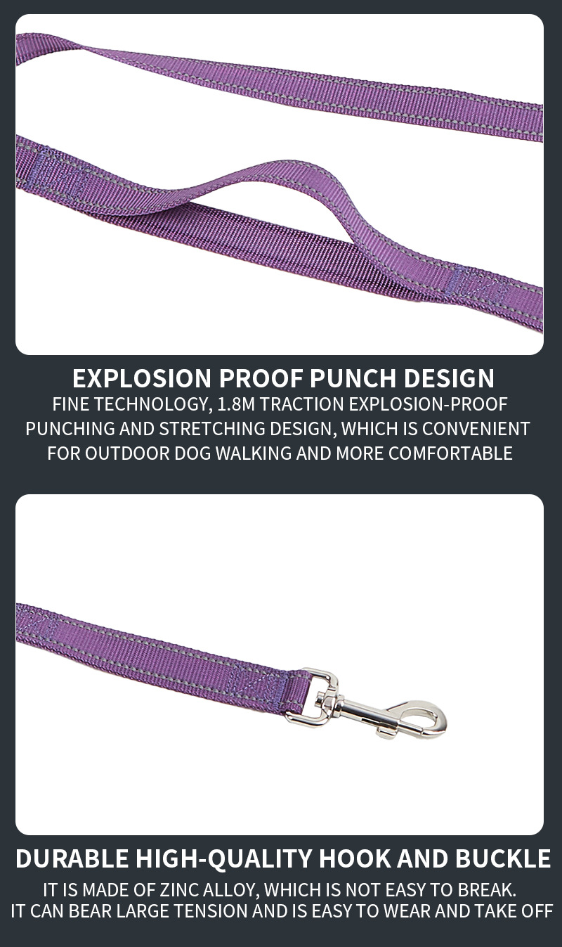 Ensemble collier et laisse GPS de dressage de luxe et ultra-résistant pour chien de taille moyenne à grande. 27