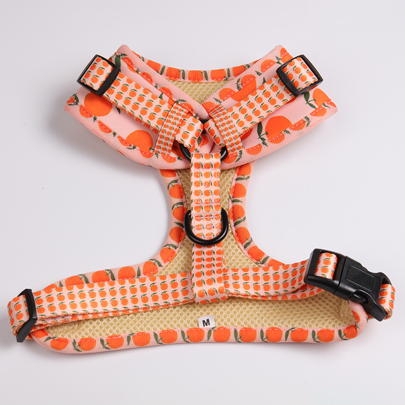 네오프렌 강아지 하네스 세트 인기 판매 OKEYPETS 제품 애완동물 하네스 조끼 패딩 메쉬 맞춤 제작 13