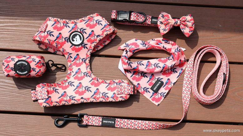 Bahan-bahan Berbeza daripada Harness Anjing 1