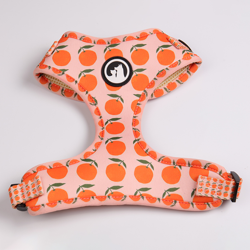 네오프렌 강아지 하네스 세트 인기 판매 OKEYPETS 제품 애완동물 하네스 조끼 패딩 메쉬 맞춤 제작 12