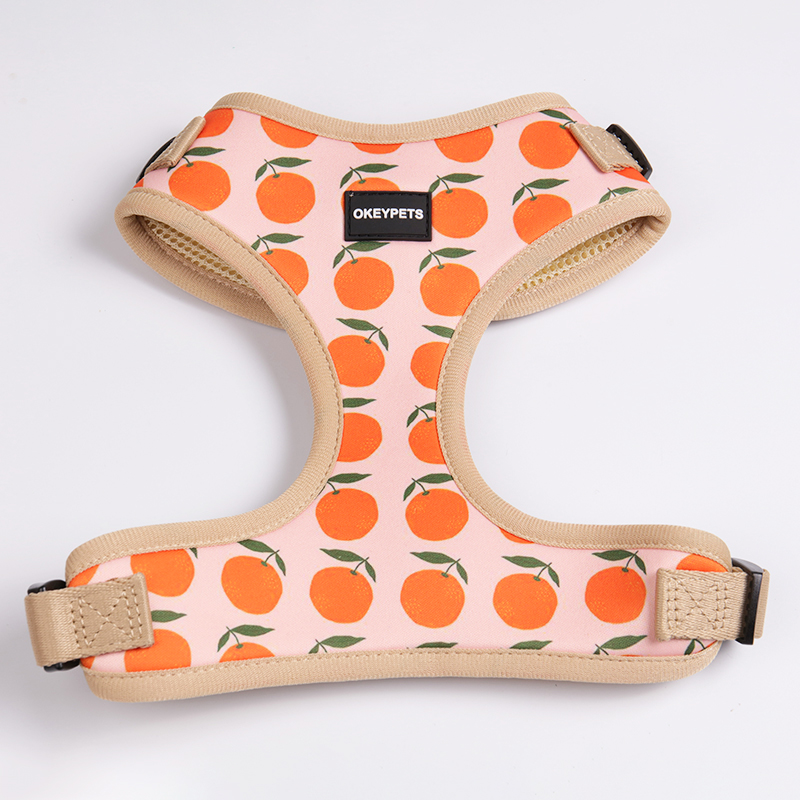 네오프렌 강아지 하네스 세트 인기 판매 OKEYPETS 제품 애완동물 하네스 조끼 패딩 메쉬 맞춤 제작 10