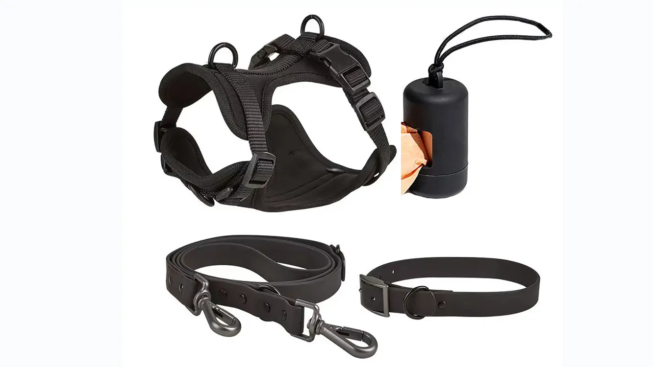 Koiran valjassetti värikäs pehmeä verkko lemmikkikoiran liivi panta hihna kakkapussi annostelija tukku irtotavarana kuuma myynti 1