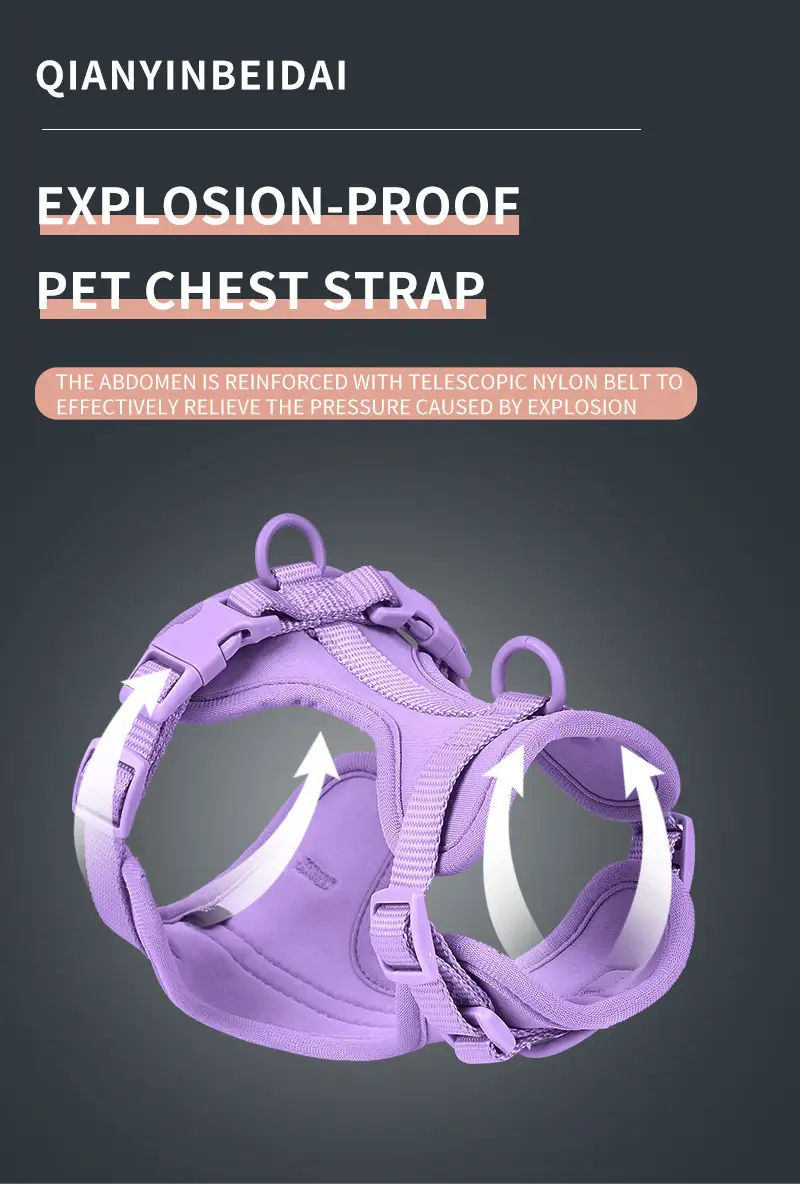 Tacar Úim Madraí Veiste Madraí Mogallach Bog Ildaite Coiléar Iall Dáileoir  Mála Cac Mórdhíola Díol Te i mBulc | OKEYPETS, image size:800x1184