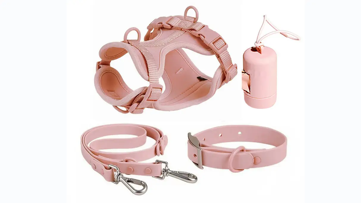 Harnais pour chien en maille colorée, collier et laisse respirants en PVC, porte-sacs à déjections canines, disponible en gros pour chiens de race moyenne à grande. 1