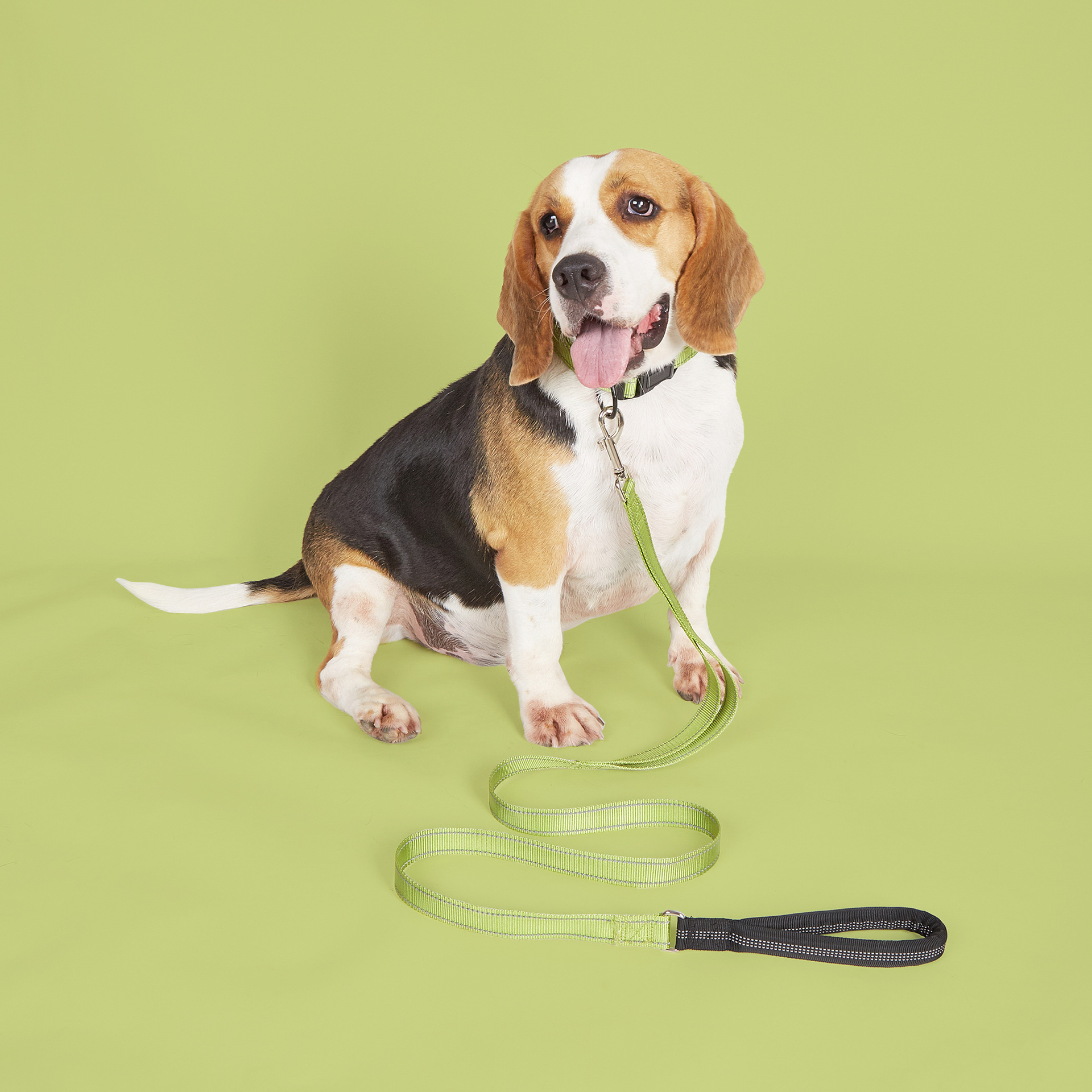 Collier pour chien en nylon confortable et épais à double couche, accessoires métalliques, collier vierge pour chien 14