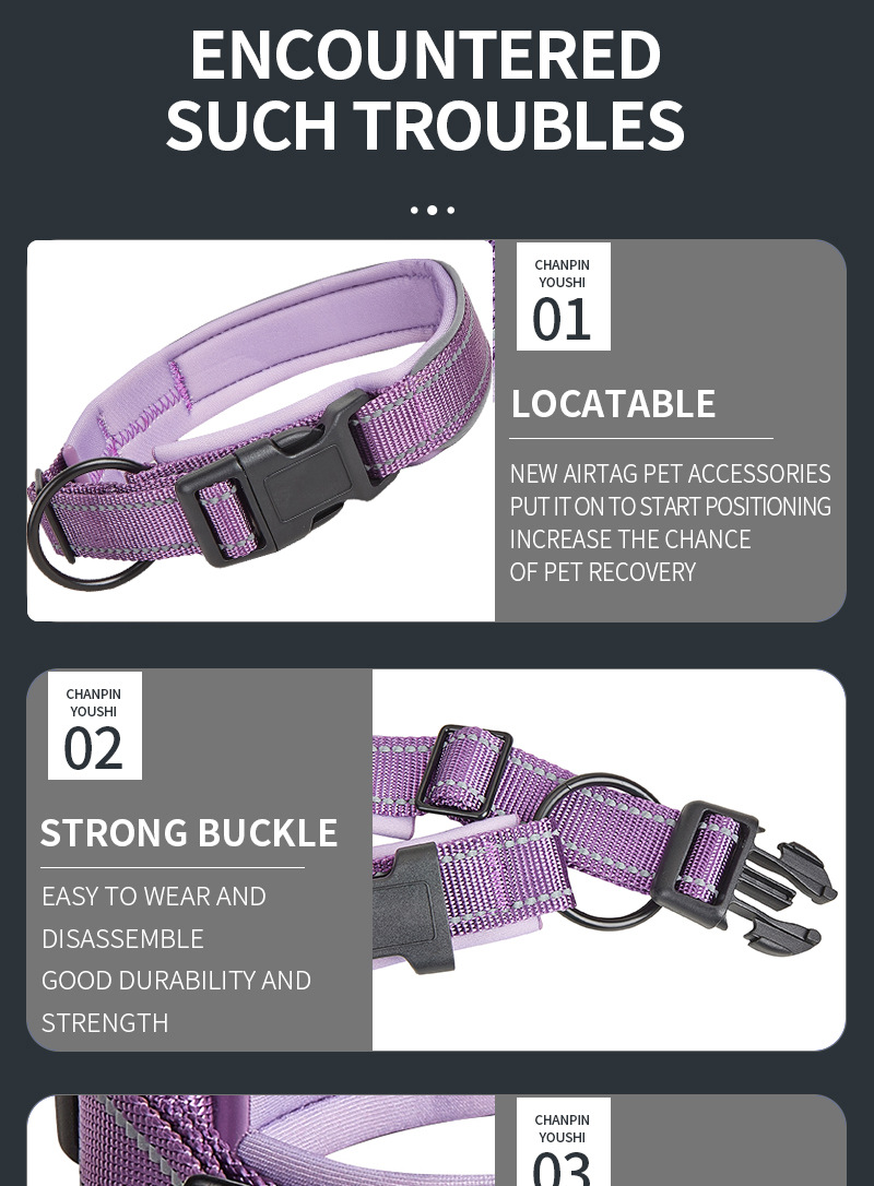 Collier pour chien en nylon confortable et épais à double couche, accessoires métalliques, collier vierge pour chien 20