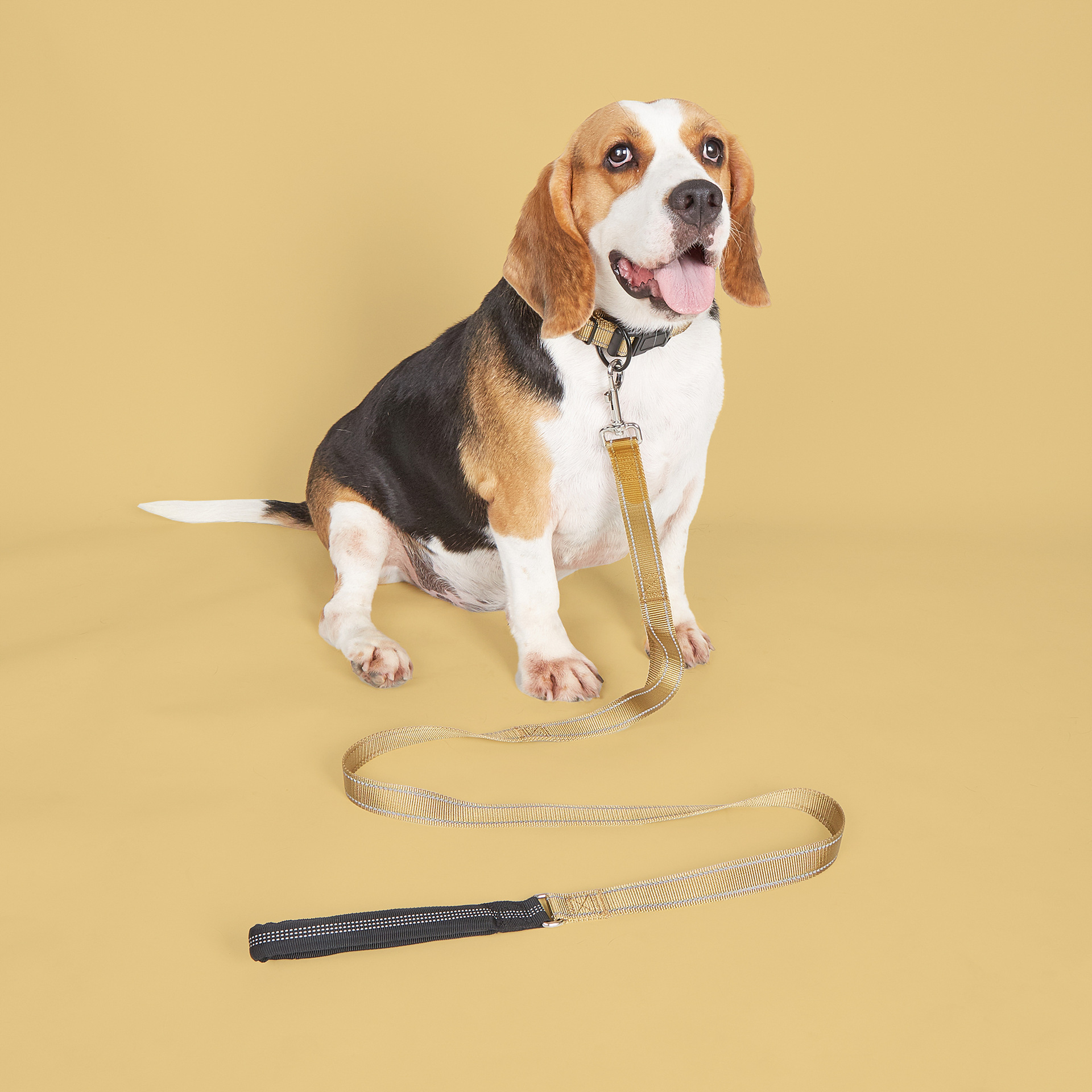 Collier pour chien en nylon confortable et épais à double couche, accessoires métalliques, collier vierge pour chien 15