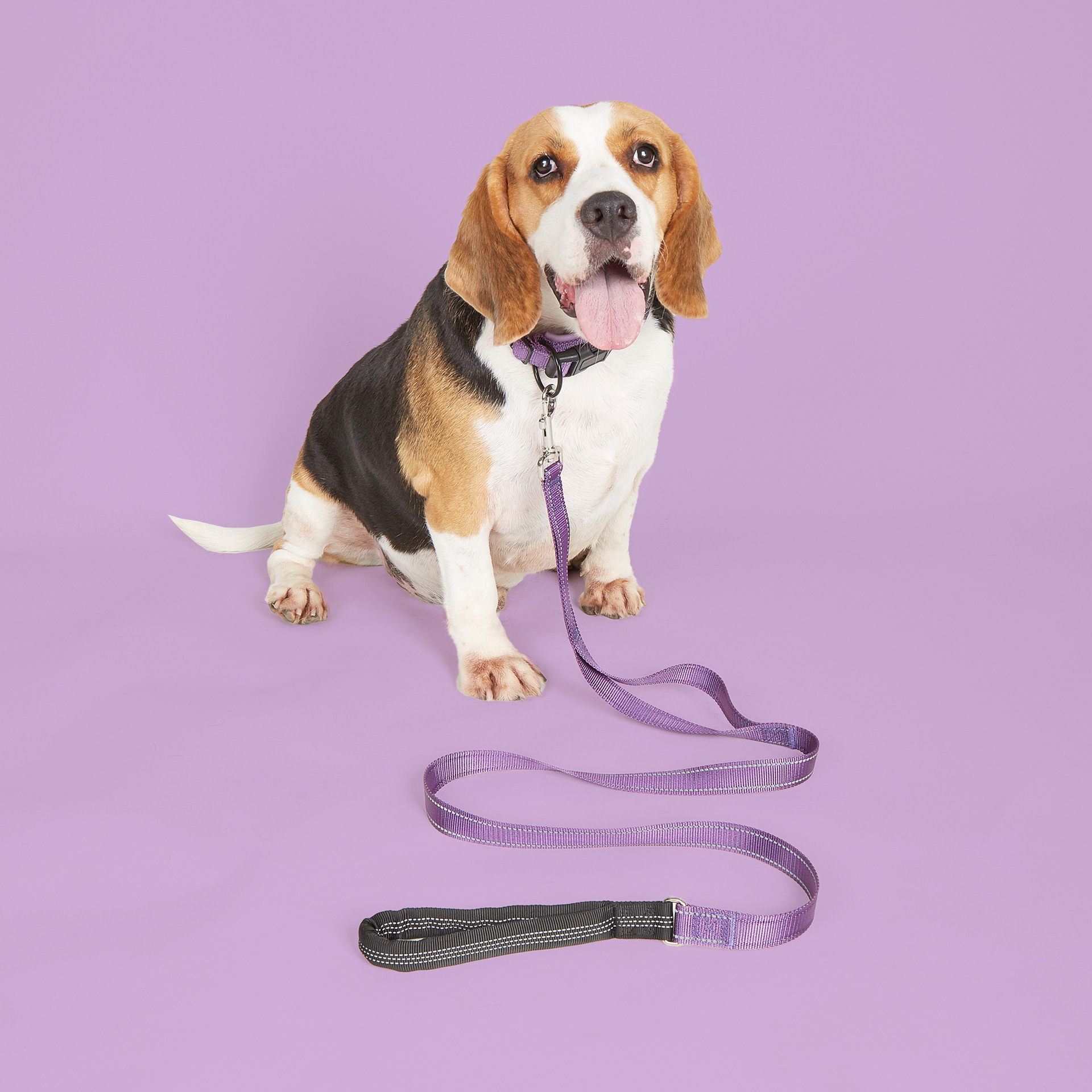 Collier pour chien en nylon confortable et épais à double couche, accessoires métalliques, collier vierge pour chien 9