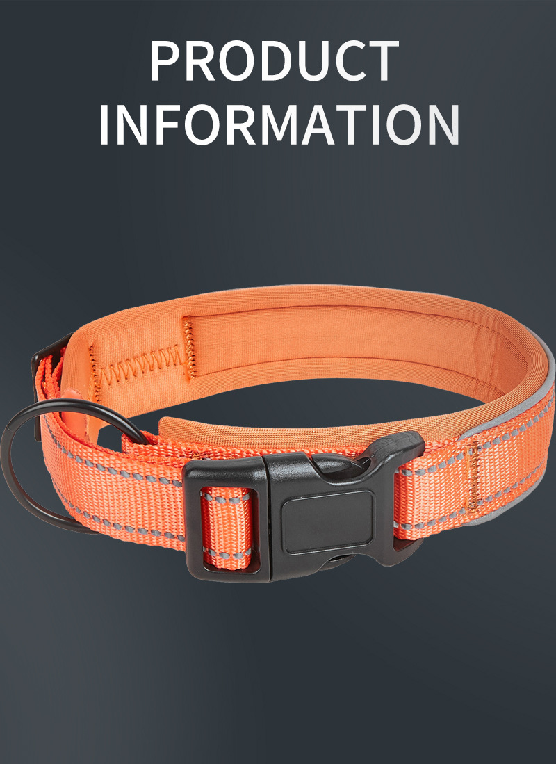 Collier pour chien en nylon confortable et épais à double couche, accessoires métalliques, collier vierge pour chien 19