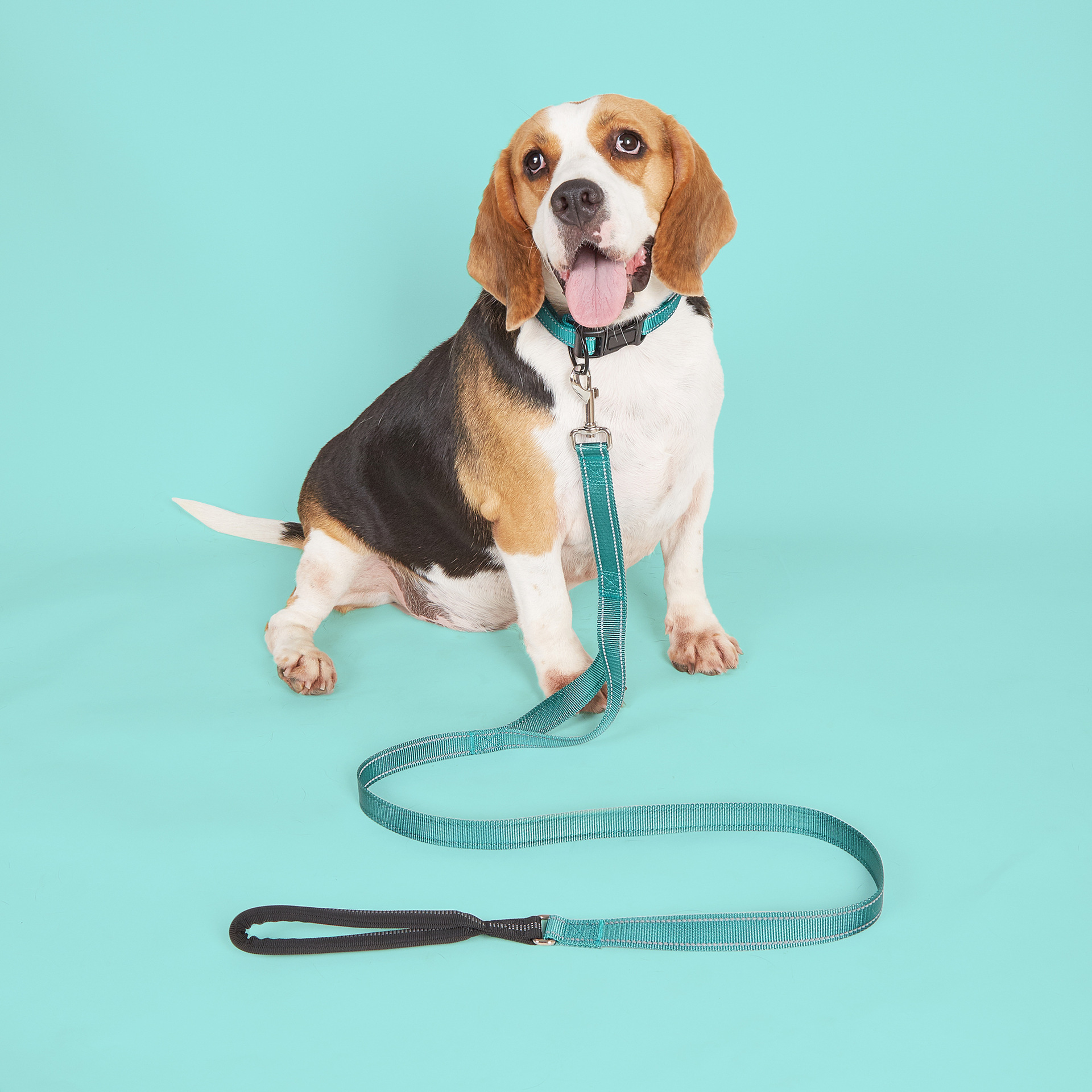 Collier pour chien en nylon confortable et épais à double couche, accessoires métalliques, collier vierge pour chien 13