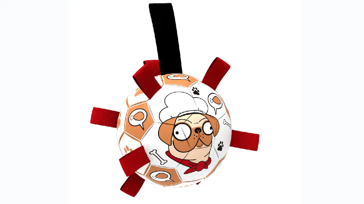 Mainan Ambil Anak Anjing Dalam &amp; Luar Rumah untuk Anjing Kecil Sederhana Besar Bola Mainan untuk Anak Anjing 1