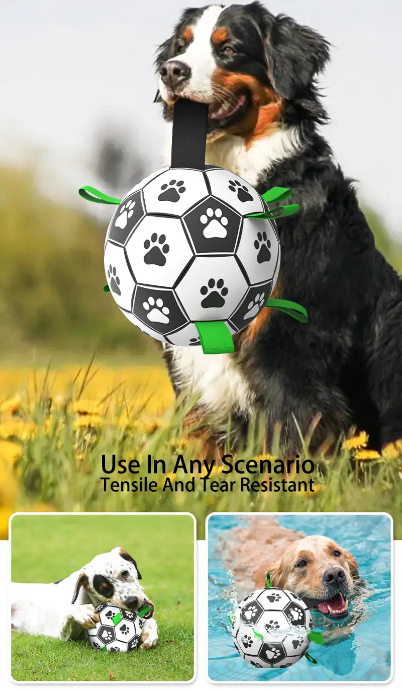 Bréagáin Bailithe Coileáin Laistigh \u0026 Lasmuigh do Mhadraí Beaga Meánmhéide  Móra Liathróidí Bréagáin do Choileáin | OKEYPETS, image size:800x1375