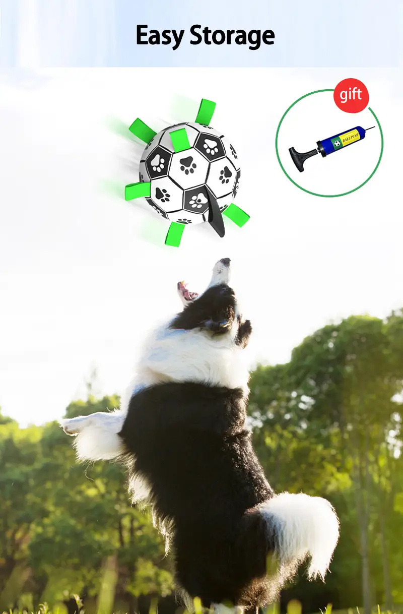 Bréagáin Bailithe Coileáin Laistigh \u0026 Lasmuigh do Mhadraí Beaga Meánmhéide  Móra Liathróidí Bréagáin do Choileáin | OKEYPETS, image size:800x1218