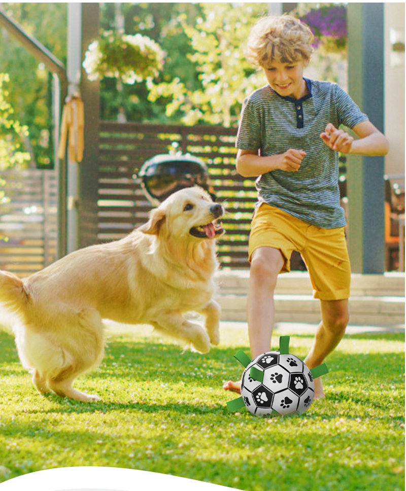 Mainan Ambil Anak Anjing Dalam & Luar Rumah untuk Anjing Kecil Sederhana Besar Bola Mainan untuk Anak Anjing 19