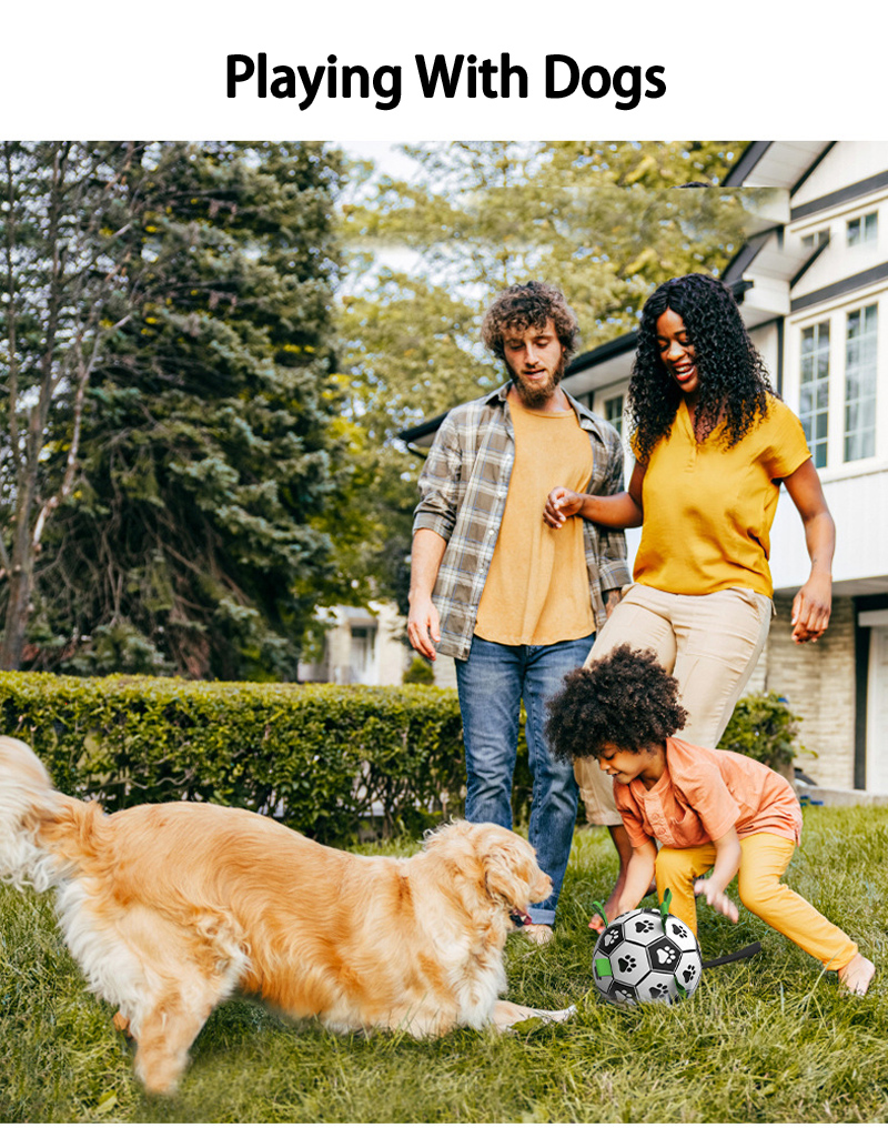 Mainan Ambil Anak Anjing Dalam & Luar Rumah untuk Anjing Kecil Sederhana Besar Bola Mainan untuk Anak Anjing 18