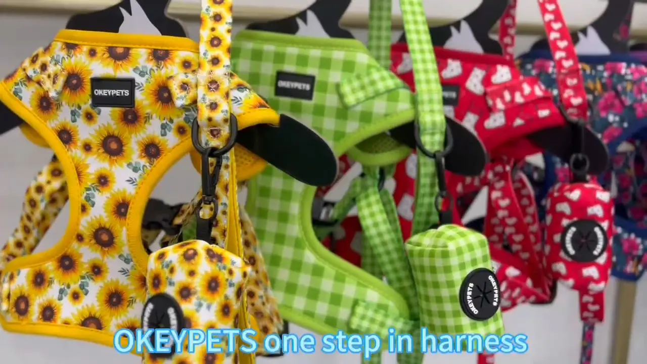 원스텝 강아지 하네스 세트, 탈출 방지 통기성 강아지 하네스 조끼 (강아지, 소형견, 중형견용) 1