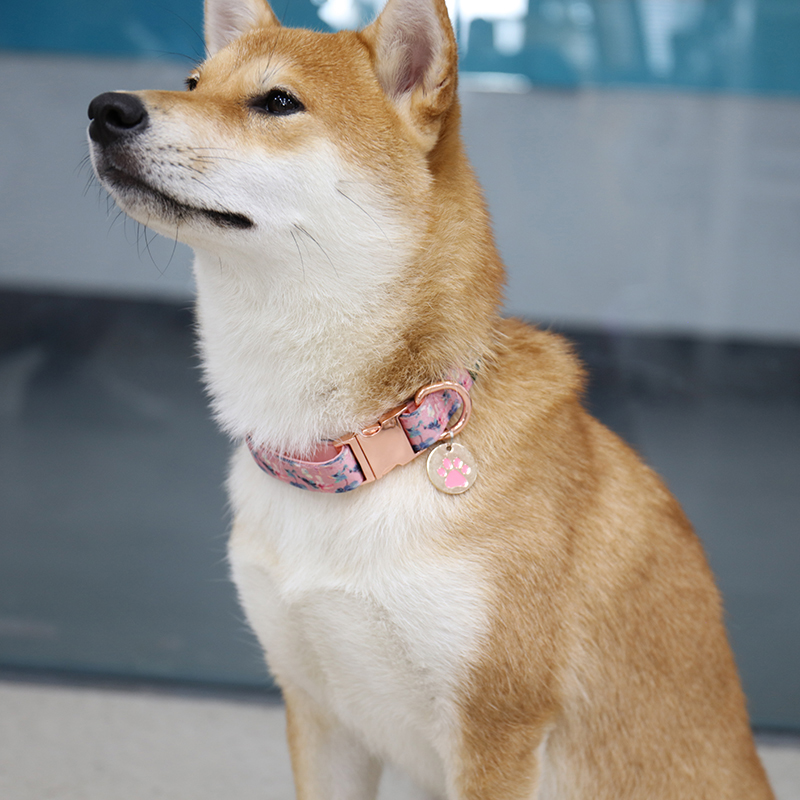 Médailles d'identification pour chien en métal, double ou simple face, avec logo personnalisé 7