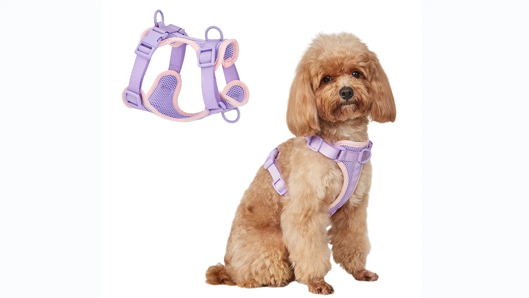 Prozračni mrežasti pojas za kućne ljubimce za male mačke, pse i velike pse, profesionalni dobavljač kućnih ljubimaca 1