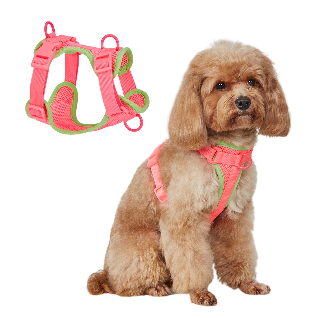 Prozračni mrežasti pojas za kućne ljubimce za male mačke, pse i velike pse, profesionalni dobavljač kućnih ljubimaca 15