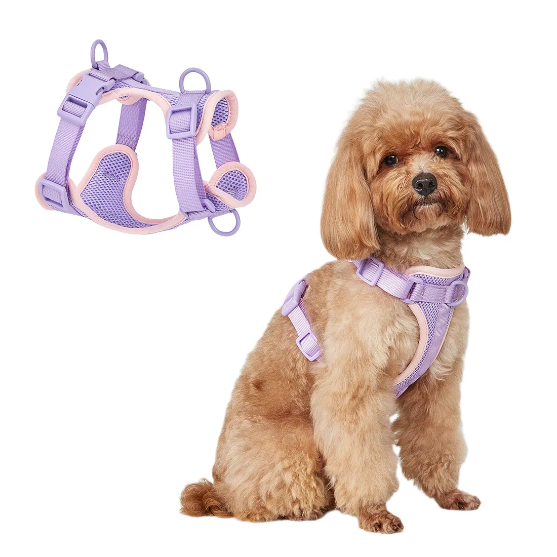 Fashion no pull training dog harness factory | OKEYPETS 3