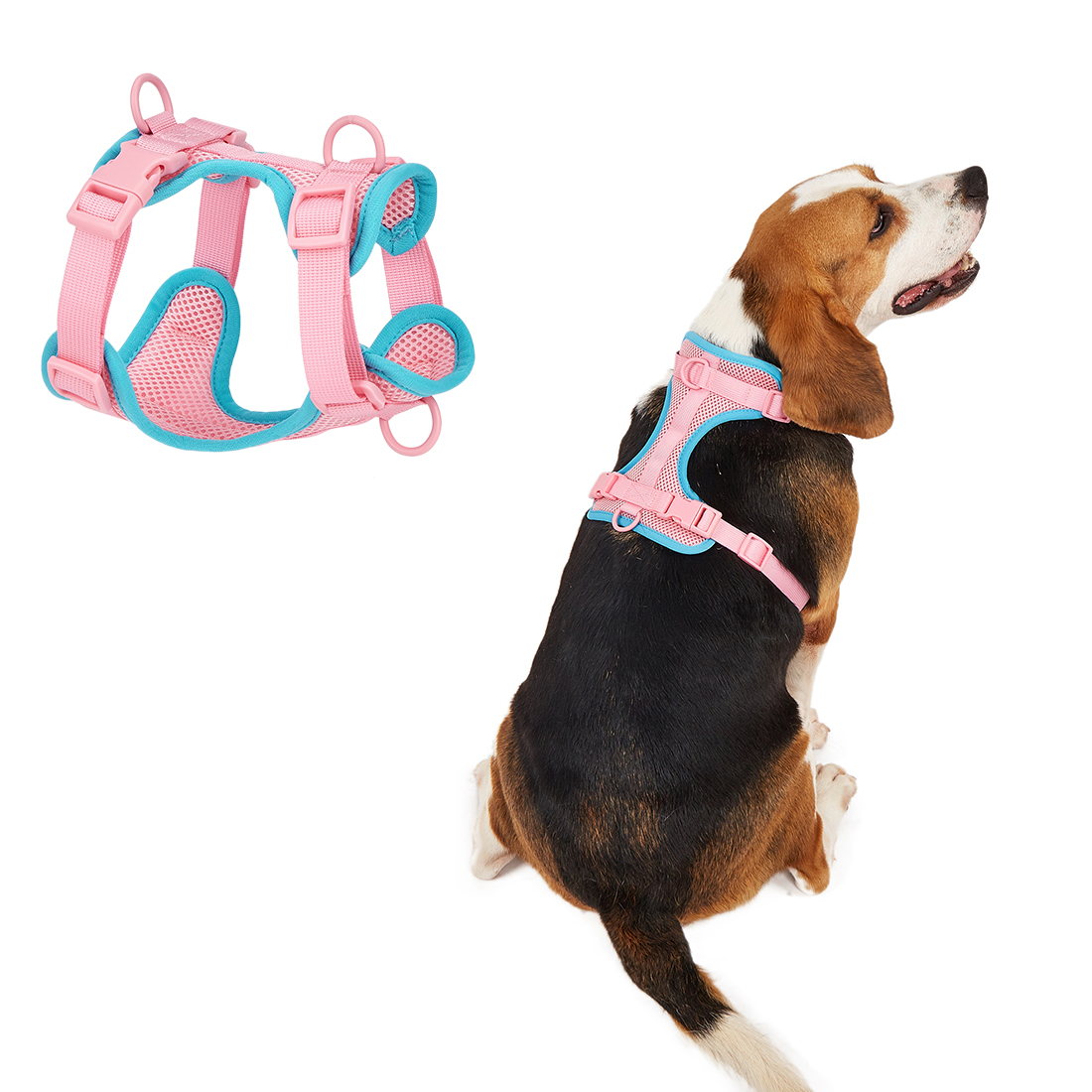 Prozračni mrežasti pojas za kućne ljubimce za male mačke, pse i velike pse, profesionalni dobavljač kućnih ljubimaca 16