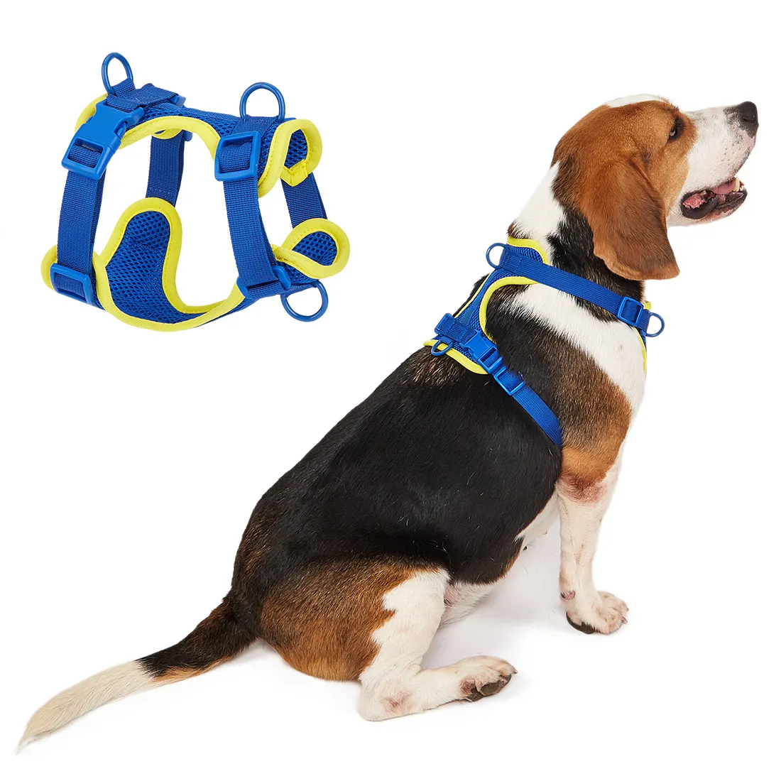 Fashion no pull training dog harness factory | OKEYPETS 4