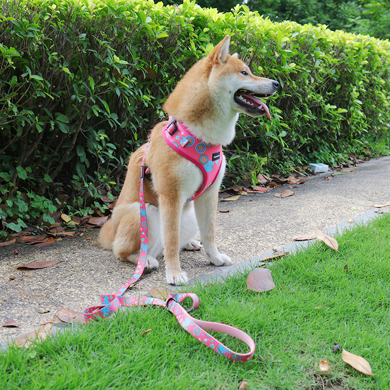 Fabricant de harnais pour chiens à attache avant - Harnais-gilet pour chien en néoprène à motif rose en vente 7