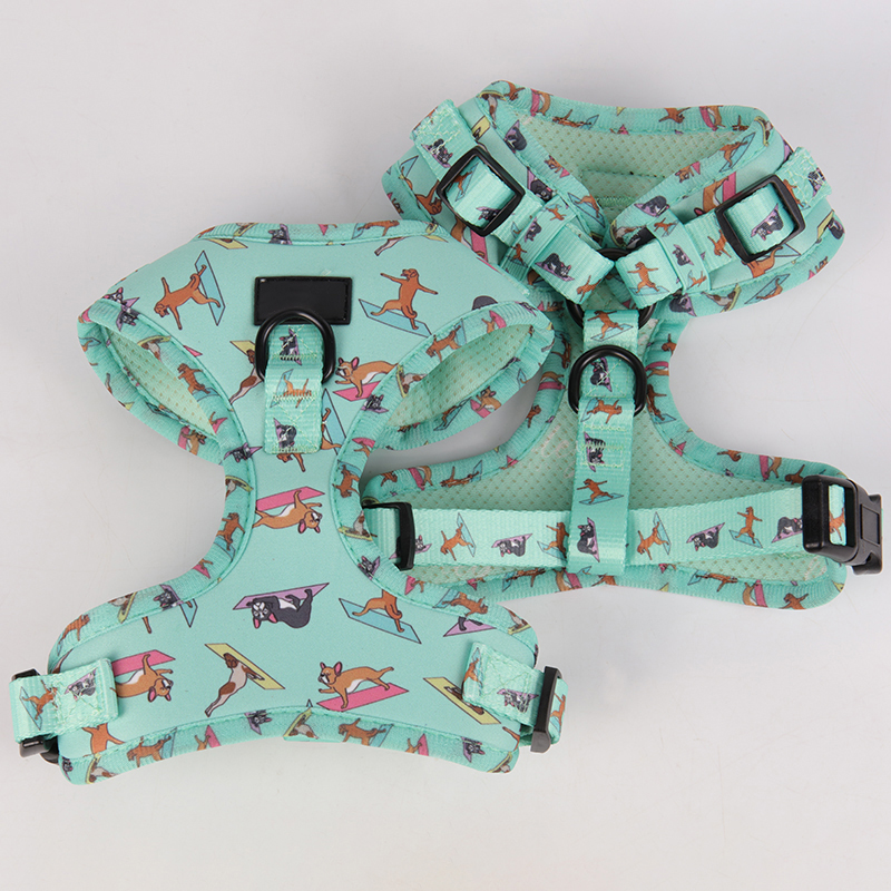 OKEYPETS Private Label Hvalp Kæledyrsvest Air Meash Komfortabel Designers Kraftig Hundesele Rygsæk Kæledyrssele 15