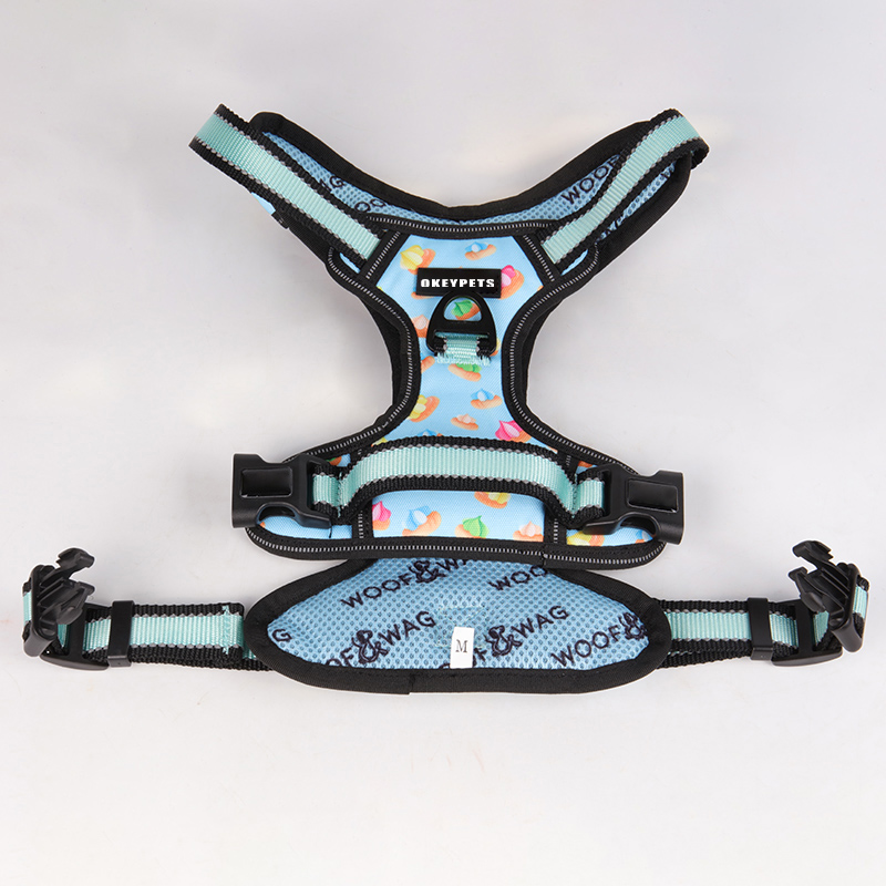 Harnais réfléchissants légers pour chiens : la meilleure façon de rendre votre chien visible 12