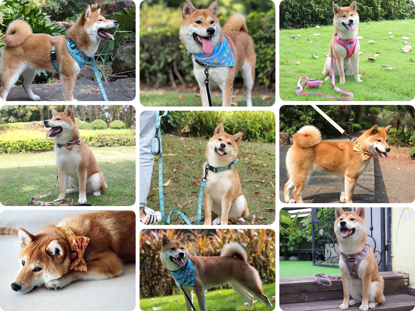 OKEYPETS - Ensemble harnais et laisse pour chien, avec logo personnalisé en gros, écologique et ajustable, bandana, sac à déjections canines et nœud papillon. 24