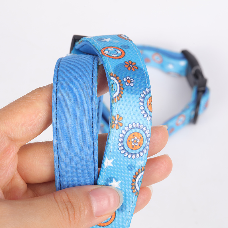 Ensemble harnais et laisse pour chien en maille aérée, imprimé sur mesure (OEM) 11