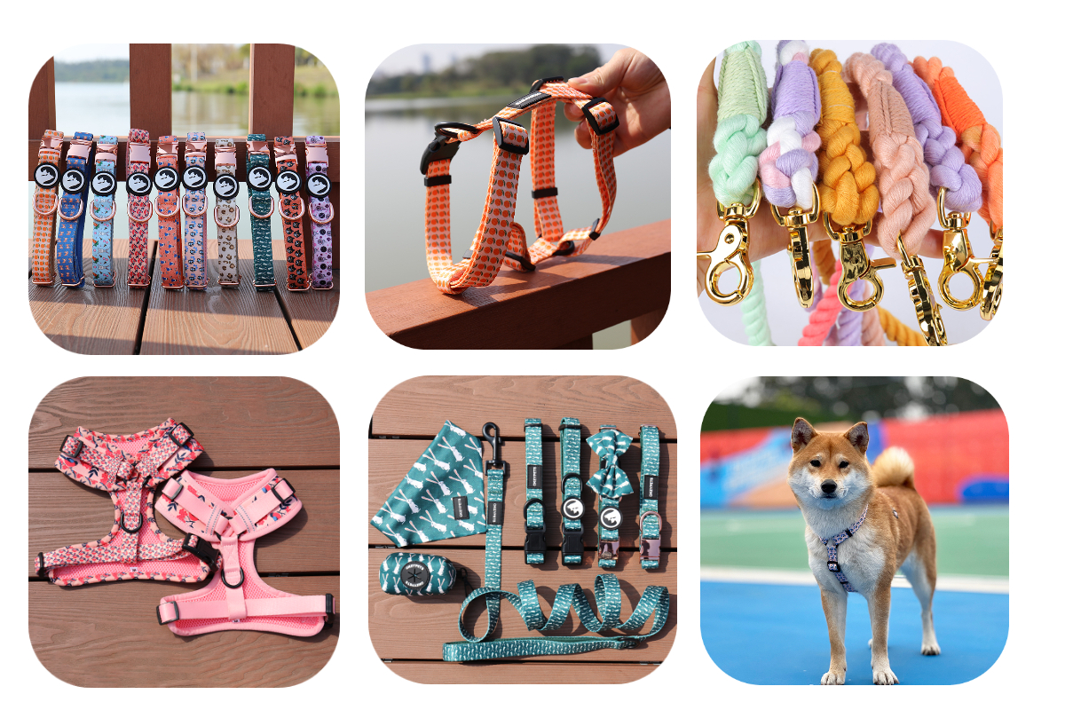 OKEYPETS - Pribor za kućne ljubimce, zlatni set metalnih kopči za ogrlice za pse, metalni hardver, kopča 16