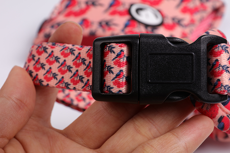 OKEYPETS Beg Galas Anjing Poliester Tebal & Selesa Tersuai Vest Abah-abah Anjing Neoprena 12