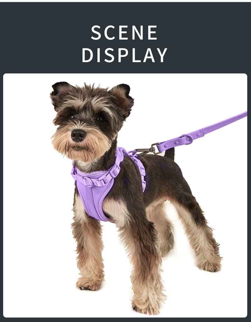 Harnais pour chien, collier, laisse, porte-sacs à déjections canines, fournisseur de produits colorés pour chiens, gilet anti-fugue pour chien, ensemble de harnais 32