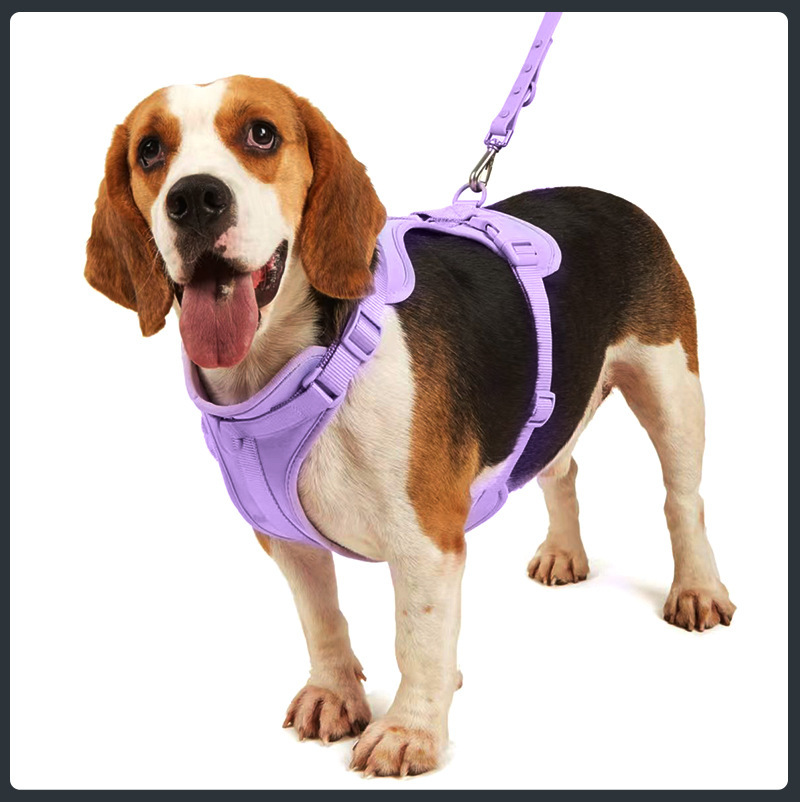 Harnais pour chien, collier, laisse, porte-sacs à déjections canines, fournisseur de produits colorés pour chiens, gilet anti-fugue pour chien, ensemble de harnais 34