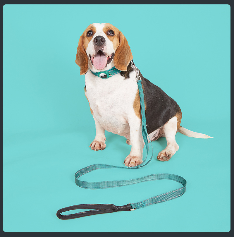 Ensemble collier et laisse pour chien Airtag en nylon coloré et réfléchissant, avec porte-étiquette Airtag. Vente en gros. 11