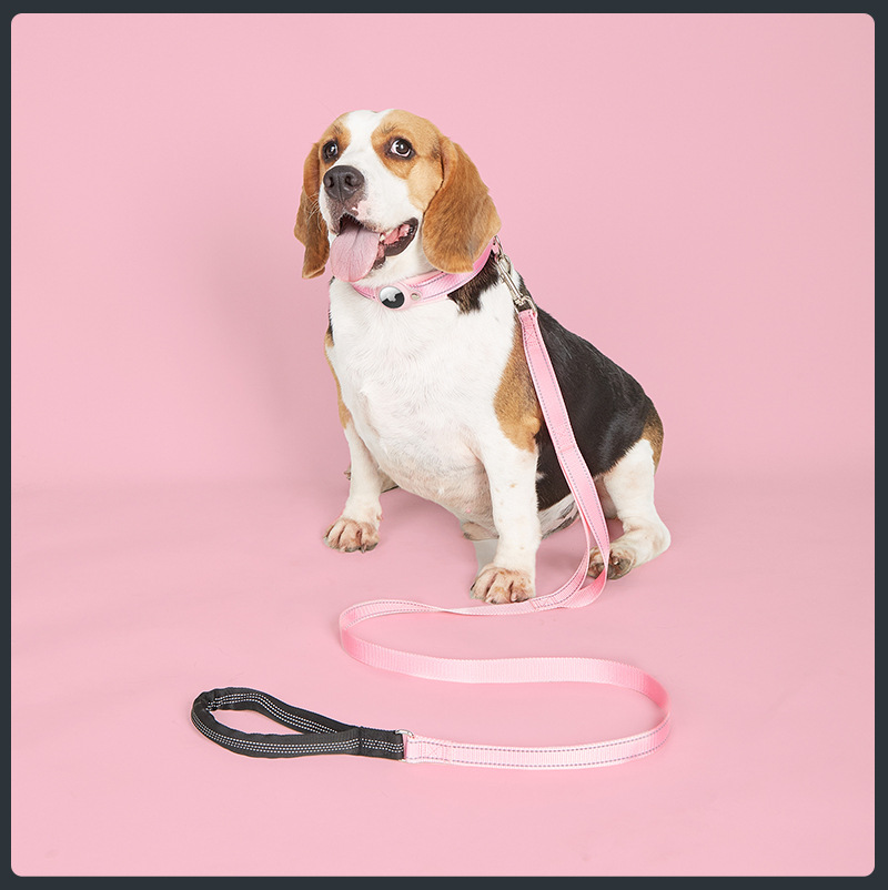 Ensemble collier et laisse pour chien Airtag en nylon coloré et réfléchissant, avec porte-étiquette Airtag. Vente en gros. 9