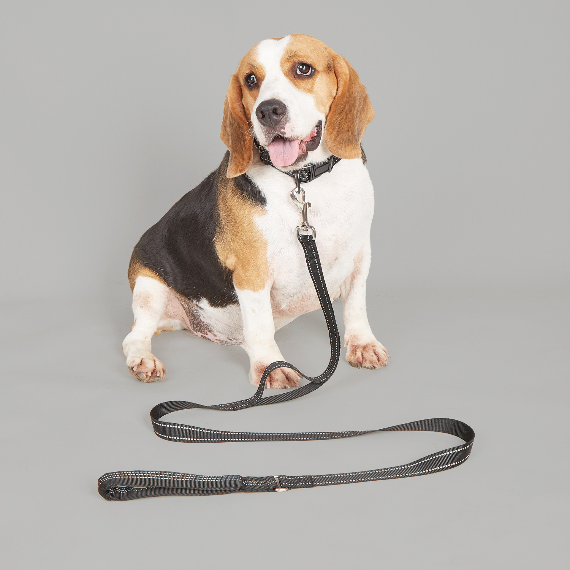 Collier pour chien en nylon réfléchissant et coloré noir, accessoires pour petits et moyens chiens. 8