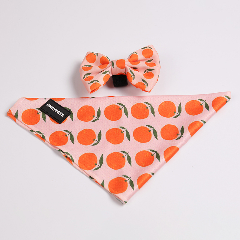 OKEYPETS Ensemble harnais réversible mignon par sublimation, laisse confortable et collier pour chien 15